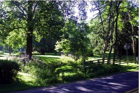 waterford street